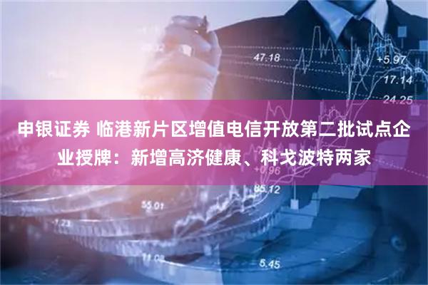 申银证券 临港新片区增值电信开放第二批试点企业授牌：新增高济健康、科戈波特两家