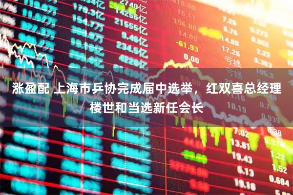 涨盈配 上海市乒协完成届中选举，红双喜总经理楼世和当选新任会长