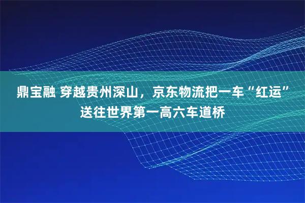 鼎宝融 穿越贵州深山，京东物流把一车“红运”送往世界第一高六车道桥